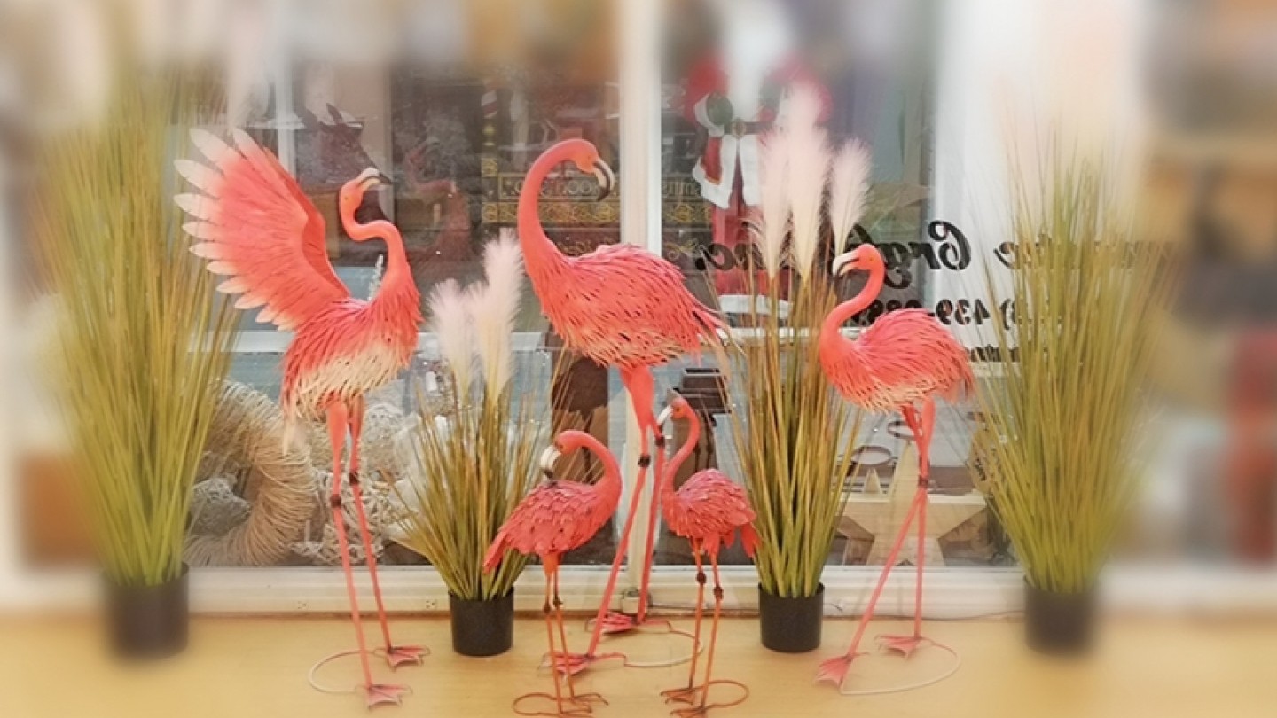 flamingo