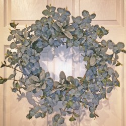 22IN EUCALYPTUS WREATH