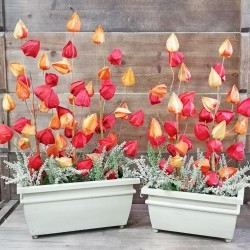 13X24&15X26 FLORAL ARRGX2