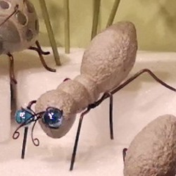Item # AS1193-3 - 7.5X3X3 ANT