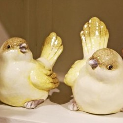 5X3.7X5.1 BIRDSX2
