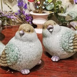 8.4X5.4X6.2 BIRDSX2