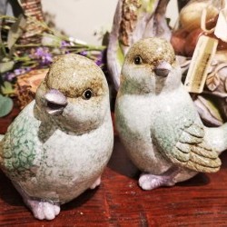 6X3.9X5.5 BIRDSX2