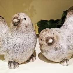 7.7X4.7X6.1 BIRDS X 2