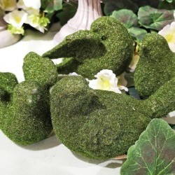 6.5W MOSS BIRDSX4