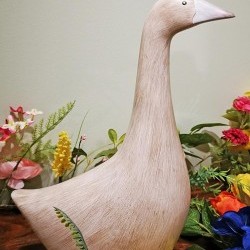 14IN DUCK