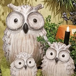 5X6,6X7&10X14 OWLS X 3