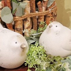 7.5X4.5X5 BIRD COUPLE X 2