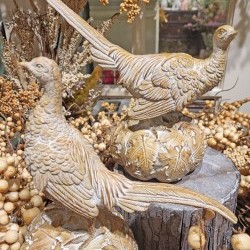 7X8&9X10 PHEASANT X 2