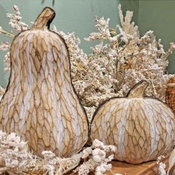 6X5&6X9 PUMPKINS X 2