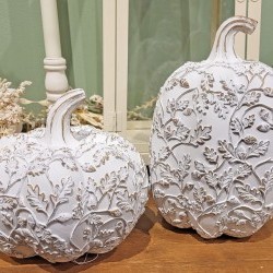 ASST 6&8 PUMPKIN X 2