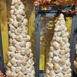 13&15IN ACORN TREES X 2