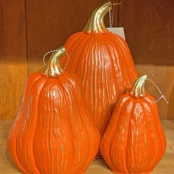 4.3X6,6X8&8X12 GOURD PUMPKINX3