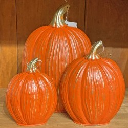 4.3X6,6X7.7&7.8X12 TALL PUMPKINX