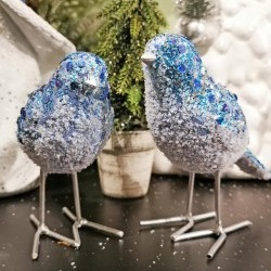 4.5&4.9 BIRDS X2