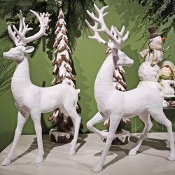 ASST 17&18IN DEER X 2