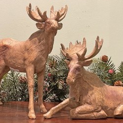 11X8&11X12 MOOSE X 2
