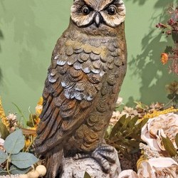 8X18 OWL