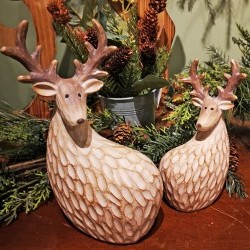 4X6.7&5.8X8.5 DEERSX2
