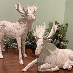 11X5X12 MOOSE X 2