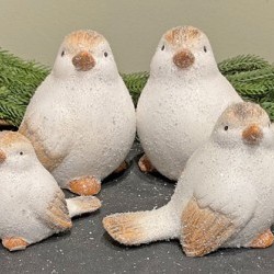 ASST 4/5/7 SNOW BIRDSX6