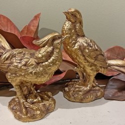 10X9 PHEASANT X 2
