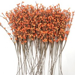 13" MINIBERRY STEMS/30PC