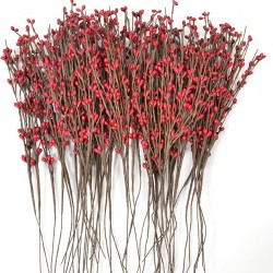 13" MINIBERRY STEMS/30PC
