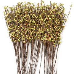 13" MINIBERRY STEMS/30PC