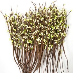 13" MINIBERRY STEMS/30PC