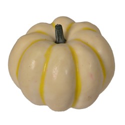 2.5"X2" CREAM PUMPKIN
