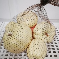 BAGGED ASSORTED PUMPKIN X 6PC
