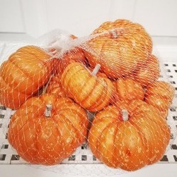 ASST 12PC PUMPKINS BAG