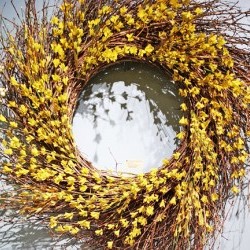 32" FORSYNTHIA WREATH