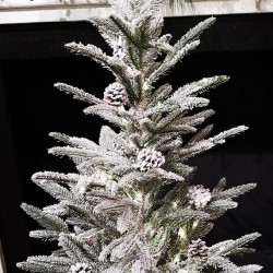 20X40 PINE BURLAP TREE-BOT50