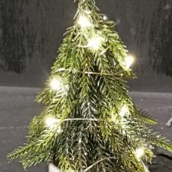 4X8 PINE TREE WHT POT-BOT10