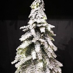 7X20 PINE TREE PAPER POT-BOT35