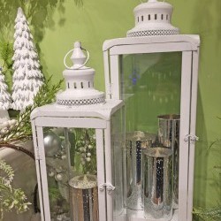 6X19&8X25 LANTERN X2