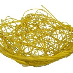 10" BIRDNEST