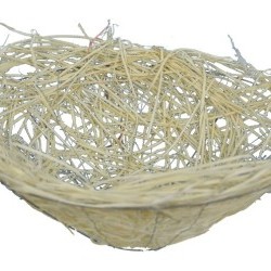 12" BIRDNEST
