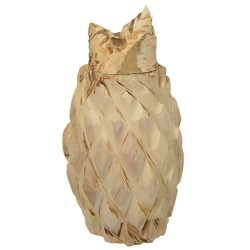 5X3X10" HALF PINEAPPLE