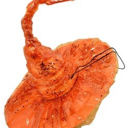 11.5"X6" WITCH'S HAT