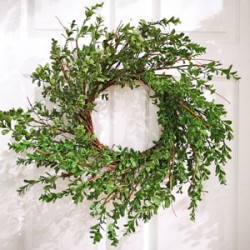 22IN BOXWOOD WREATH