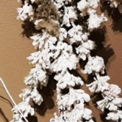 5' SNOW PINE GARLAND