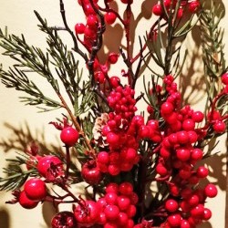 18IN BERRY TWIG SPRAY