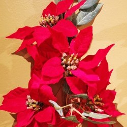 18IN POINSETTIA SPRAY