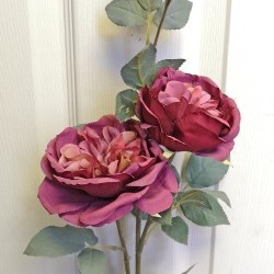 30IN ROSE/3