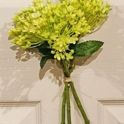 12.5IN BLUME BUNDLE