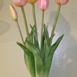 19IN TULIP BUNDLE/5