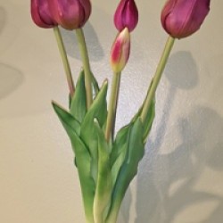 19IN TULIP BUNDLE/5